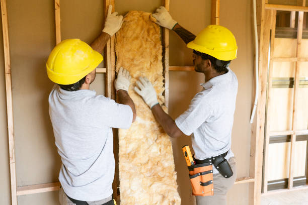 Professional Insulation in Teutopolis, IL